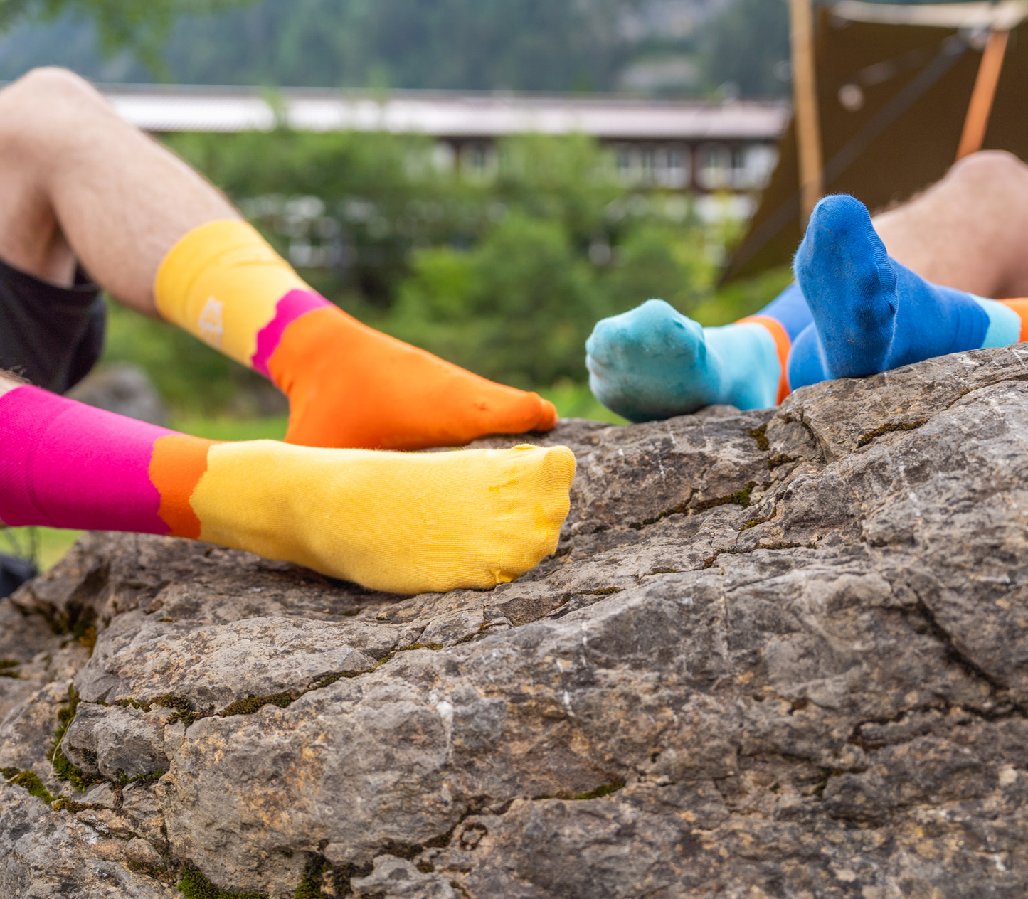 KISC Socks Dark & Bright
