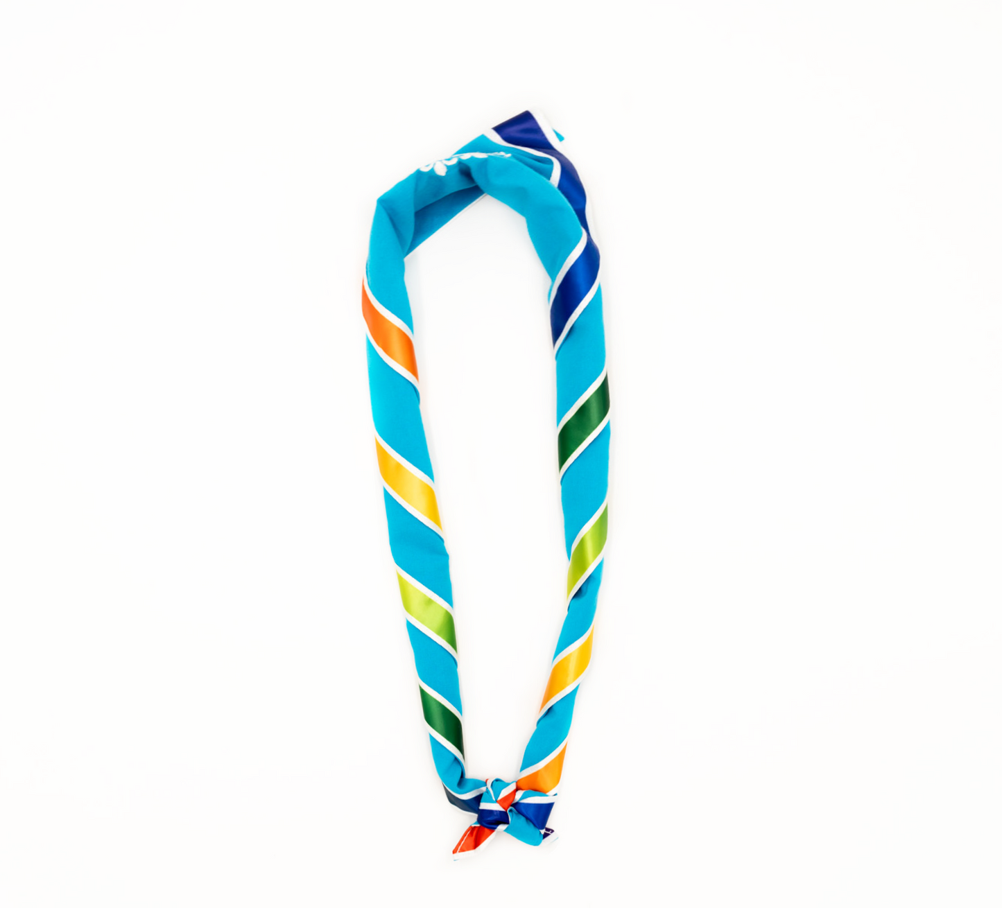 Pride Scarf